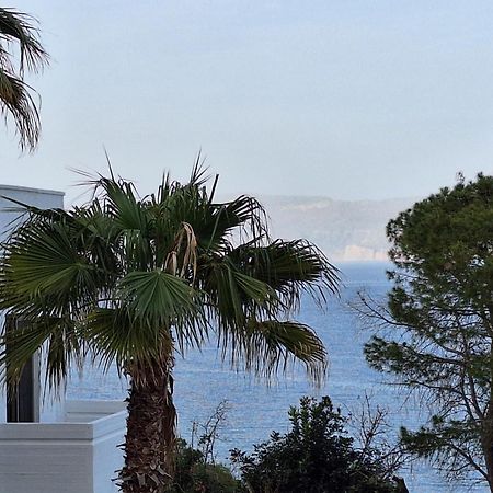 Delfini Apartments Kíssamos Dış mekan fotoğraf