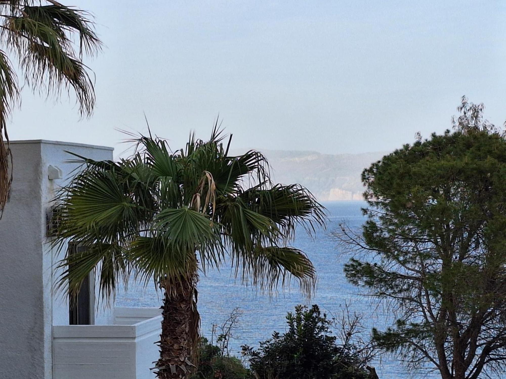 Delfini Apartments Kíssamos Dış mekan fotoğraf