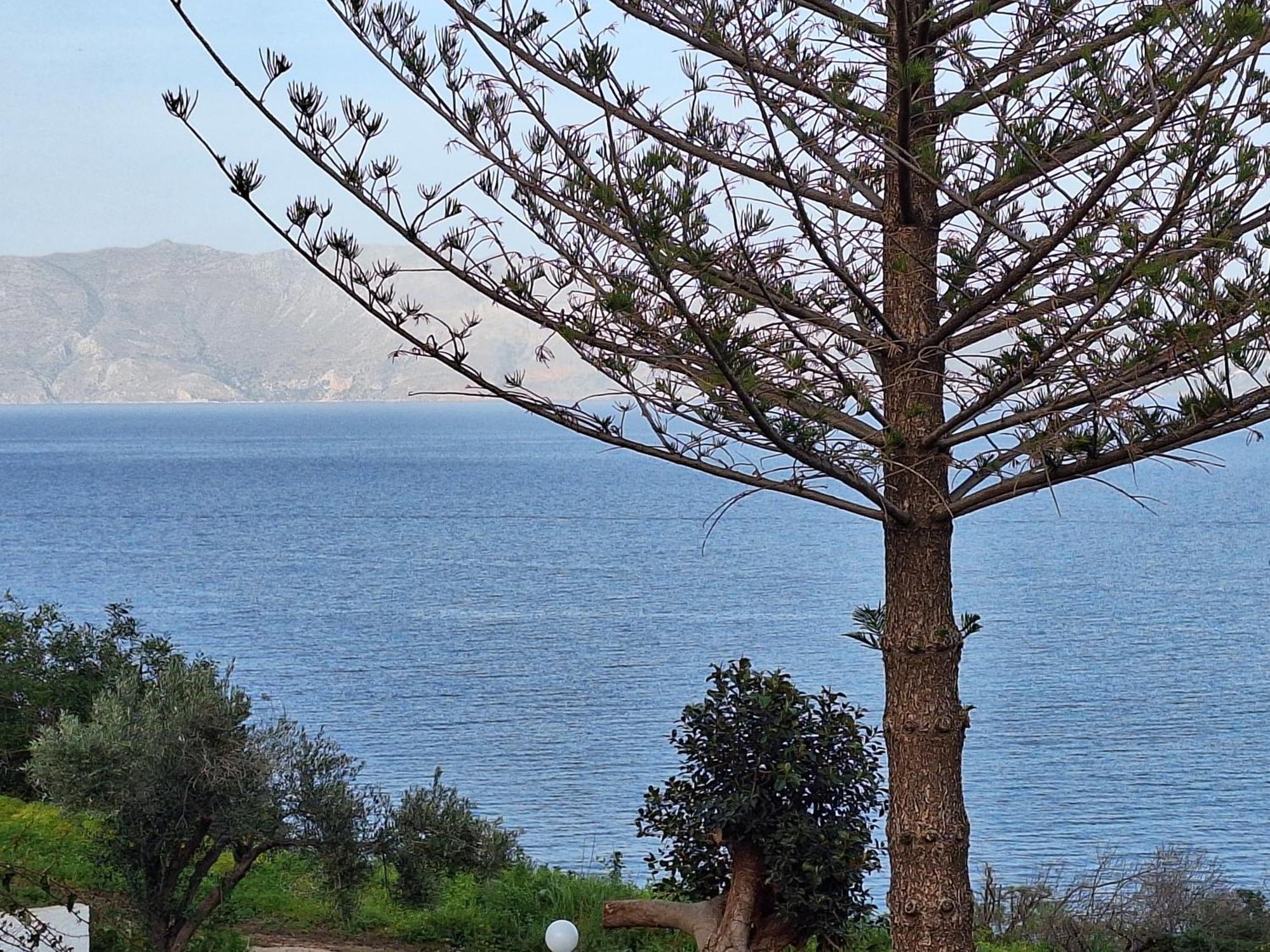 Delfini Apartments Kíssamos Dış mekan fotoğraf
